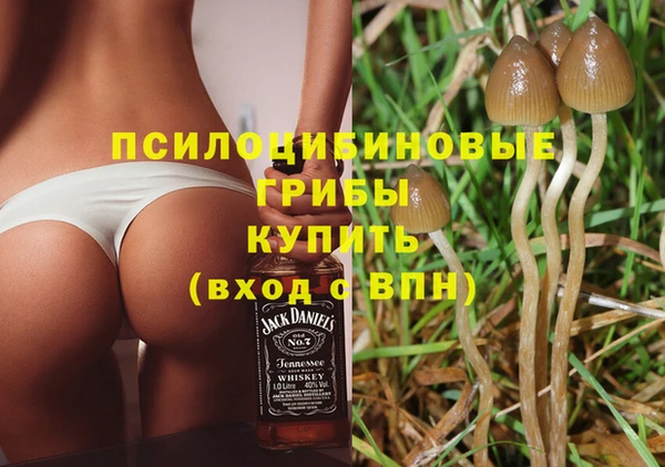 бутират Магас
