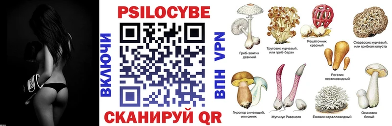 закладка Шарья Галлюциногенные грибы Psilocybine cubensis